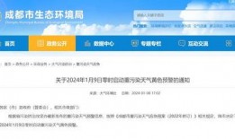 百度爆料石家庄最新消息,百度爆料揭示城市新进展